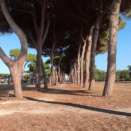 Attico Panoramico *